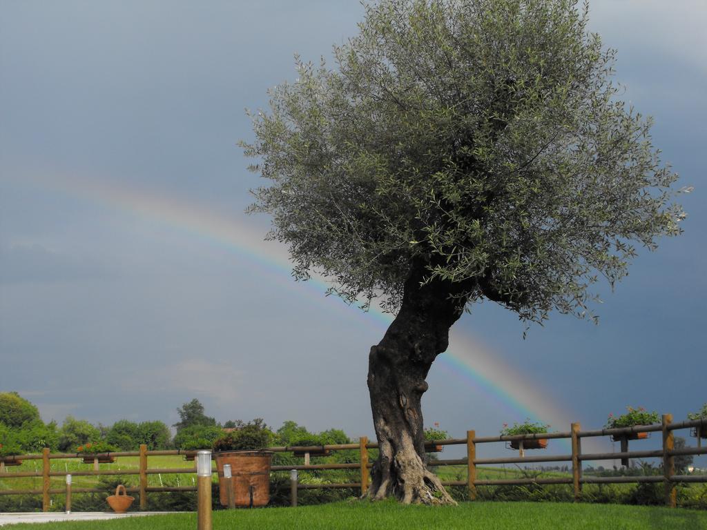 Agriturismo Althea Vittorio Veneto Exteriör bild