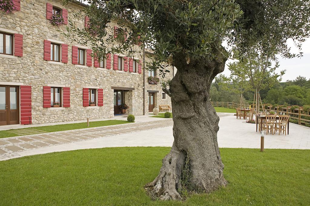 Agriturismo Althea Vittorio Veneto Exteriör bild