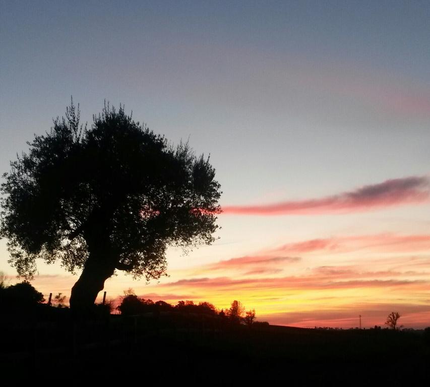 Agriturismo Althea Vittorio Veneto Exteriör bild